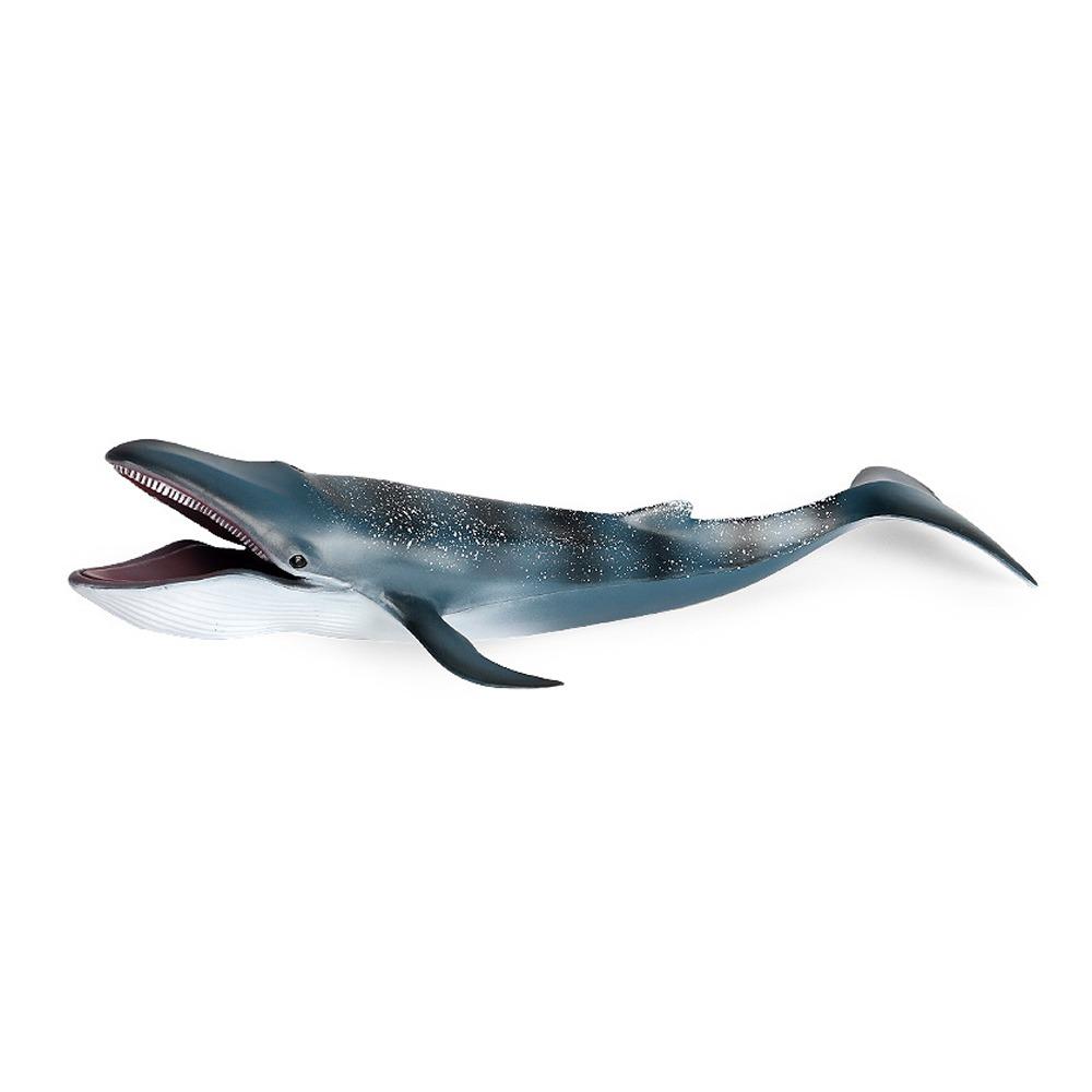 Realistic Blue Whale Action Figure Toy Wild Whale Desktop Ornament Educational Kids Toy