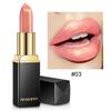 9 цветов Mermaid Ji Shiny Pearlescent Warm Lipstick Lip Stain High Pigmented Long Lasting Lip Gloss Lip Makeup Gift