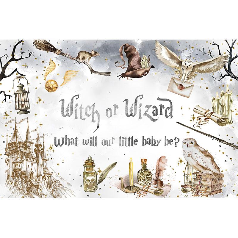 Witch or Wizard Gender Reveal Backdrop He or She Boy or Girl Pregnancy Photography Background Magic Castle Party Decor Banner