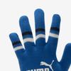Puma Galleria Puma Sports Cold Weather Knitted Gloves Cat Magic Glove 3 04180008