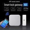 TTLOCK Умный замок с паролем по отпечатку пальца, 28 языков, американский стандарт, совместимый с Tuya