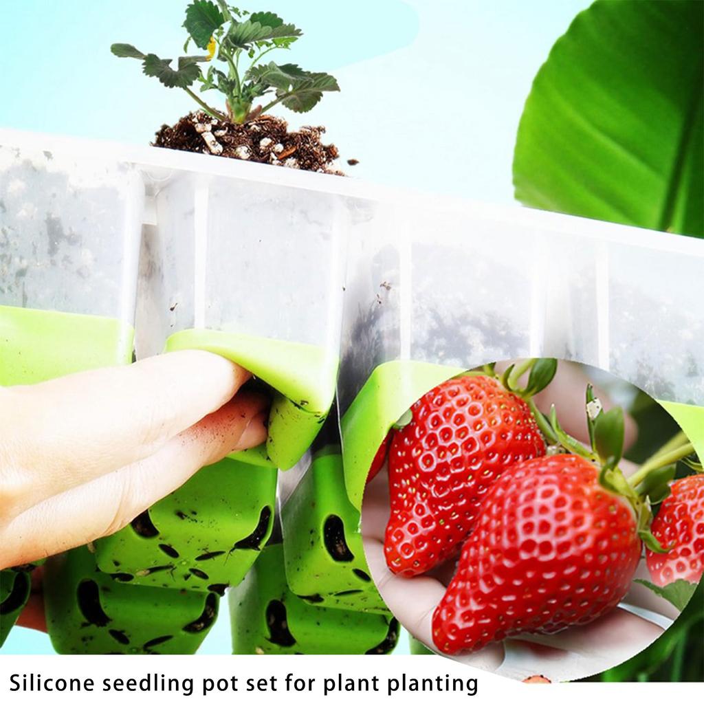 Набор поддонов для проращивания рассады, комнатная теплица, ящик для выращивания растений для домашнего использования, ящик для размножения с прозрачной крышкой