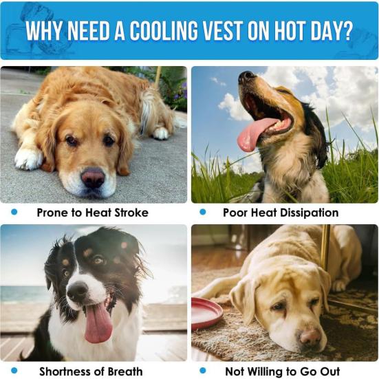 Охлаждающий жилет для собак с технологией быстрого охлаждения, одежда для домашних животных со светоотражающими полосками, летняя защита от ультрафиолета