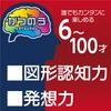 HANAYAMA Puzzle Exercise Katsunou Matchstick Puzzle & (Ages 6+)