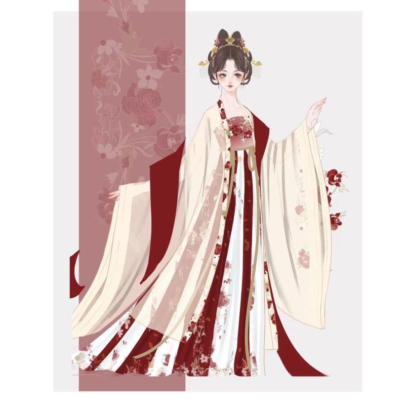 Китайский стиль династии Тан, платье HE ZI, женский костюм Hanfu, повседневный костюм с вышивкой