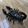 Набор Строительных Блоков Игрушечные Насекомые 1 Пакет Фигурки Животных Скорпион Паук Трилобиты Модель Образовательные Игрушки для Детей с Сумкой