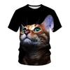 Футболка весна-лето Маленький ленивый кот Мужская женская футболка с 3D-цифровой печатью с круглым вырезом и коротким рукавом