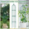 Клематис Вьющаяся Лиана Подставка для Цветов Лиана Кронштейн Подставка для Цветочного Горшка Сделай Сам Подставка для Вьющихся Растений