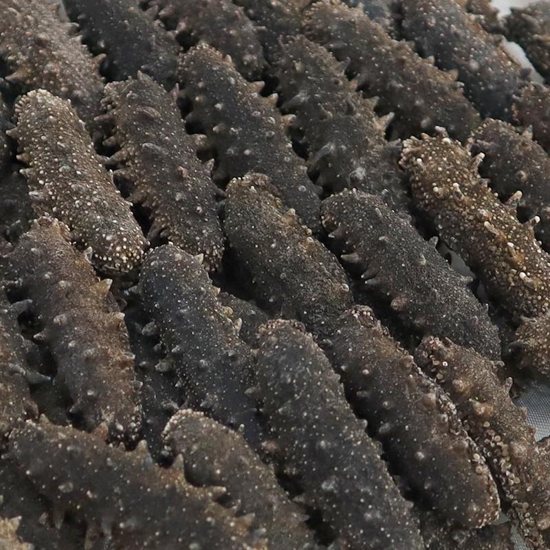 Sai Weng Fu Dalian Dried Sea Cucumber Gift Box