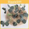Artificial Eucalyptus Leaves Robusta Smith For Wedding Decor Party