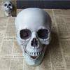 Halloween Artificial Skull Head Model Skeleton Ornament Festival Party Home Decoration Skull Bone Scary Horror