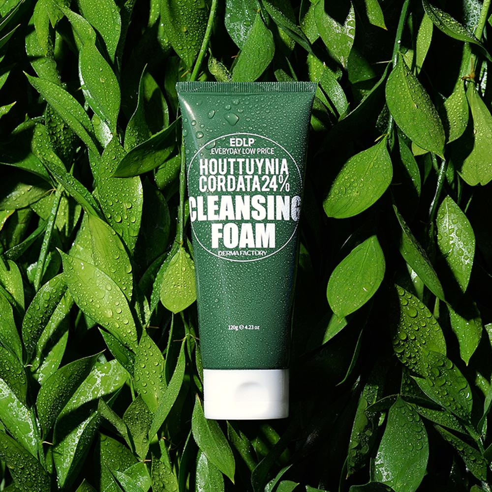 DERMA FACTORY EDLP Houttuynia Cordata 24% Очищающая пенка – Уход за кожей, склонной к акне, Контроль себума, Мягкое отшелушивающее средство для умывания, Корейский