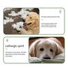 Puppy Teething Relief Supplies Christmas Dog Squeaky Chew Toys, Teeth Cleaning Interactive Pet Holiday Themed Anxiety Toys Balls with Candy