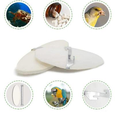 12/15 см кость каракатицы каракатица корм для птиц кальций выбрать камень домашнее животное для домашних животных волнистый попугайчик попугаи хомяк птица игрушка аксессуары для птиц