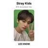 Stray Kids ATE Аккордеон Вер. Официальная фотокарта