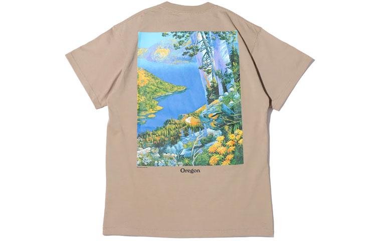 Nike ACG T Shirts Men's Khaki Crew Neck Moderate Straight Fit DA4878-247