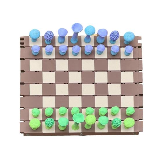 1 набор магнитных лесных грибов, шахматная игра с рулоном, доска для шахмат для детей и взрослых, портативная образовательная дорожная настольная игра-шашка