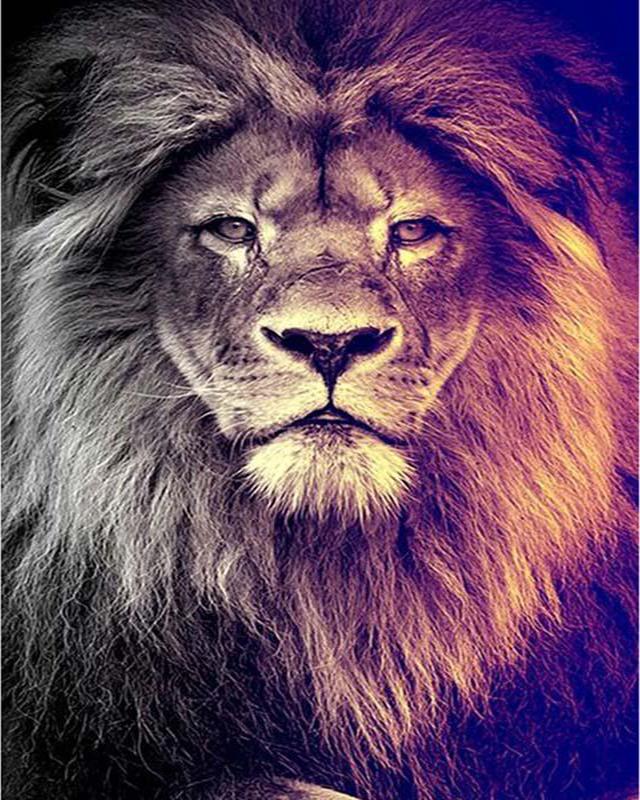 Алмазная картина Проточная вода Деревенский пейзаж Весна 5D Алмазная вышивка Крестиком Собака Животные Фотографии Стразы Мозаика Распродажа Wall Art