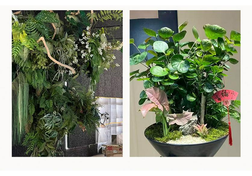 Artificial Potted Plants: Pothos, Fukurokuju, Copper Coin Leaves, Money Tree for Soft Micro Landscape Decoration