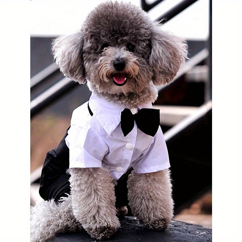 1 шт. Охлаждающая рубашка для питомца, Дизайн на 4 лапы, Формальный воротник, Одежда для кошек и собак