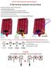 JP Multifunctional RC Jet Landing Gear Controller