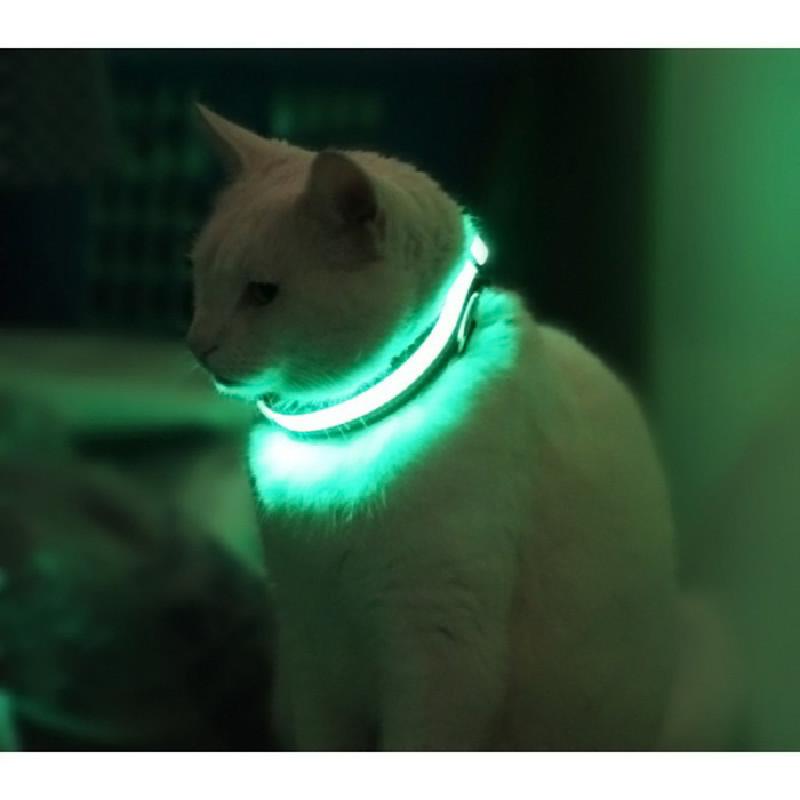 Bright Led Pet Collar For Cats And Dogs Adjustable Usb Rechargeable Nylon Material