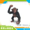 Source Simulation Animal Model Orangutan Mandrill 7 Chimpanzee Ghost Baboon Solid Static Ornament Toy