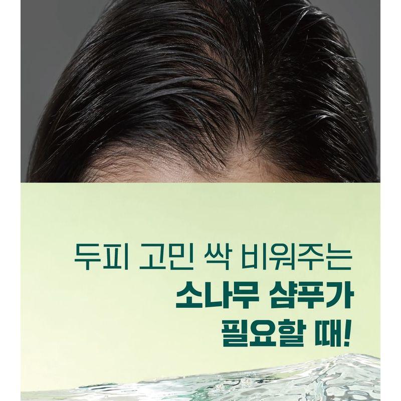 ROUND LAB - Pine Calming Cica Shampoo