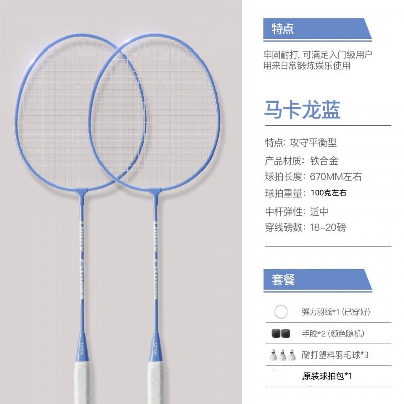 Badminton Rackets Set Adults Beginners Lightweight Durable Training