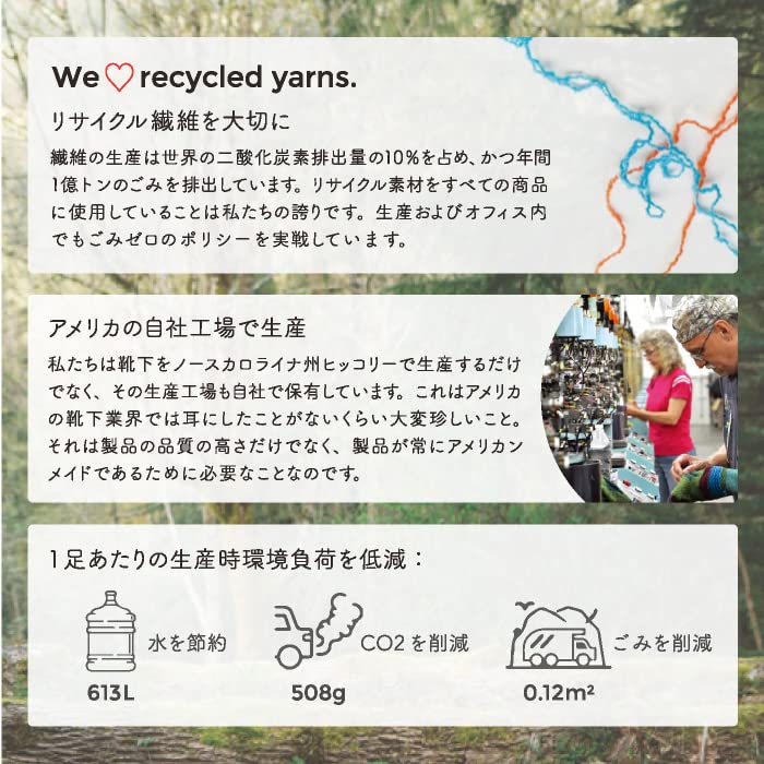 Носки для экипажа Rainbow [Solmate Socks] L(27-29см)