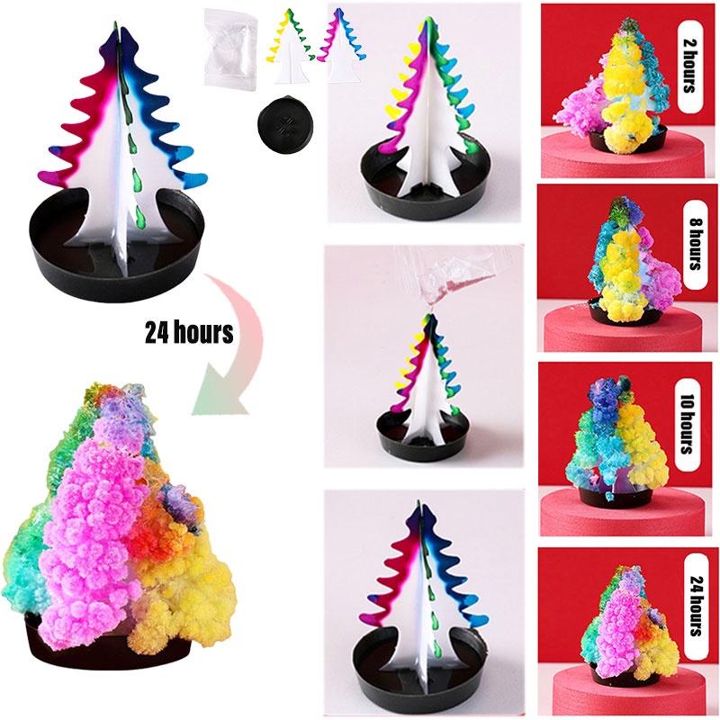 Diy Flowering Christmas Tree Magical Paper Tree With Growing Crystals Great Gift For Kids