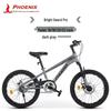 PHOENIX Детский односкоростной горный велосипед 18 дюймов