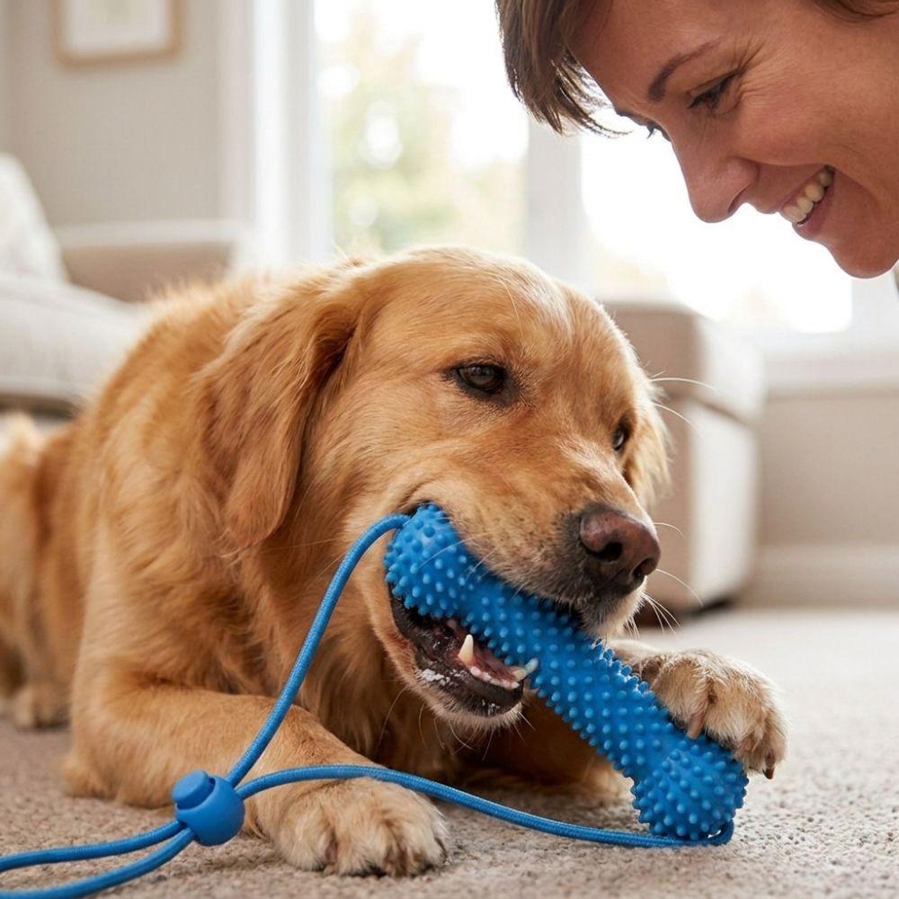 Bite-Resistant Dog Teething Stick Anti-choking with Rope Dog Chew Stick Chew-resistant Interactive Dog Teething Discomfort