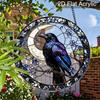 2D Flat Acrylic Halloween Crow Suncatcher Decorative Hanging Ornament, 7.87/11.81inches Black Window Hanging Pendant, Nature Bird Lovers Housewarming