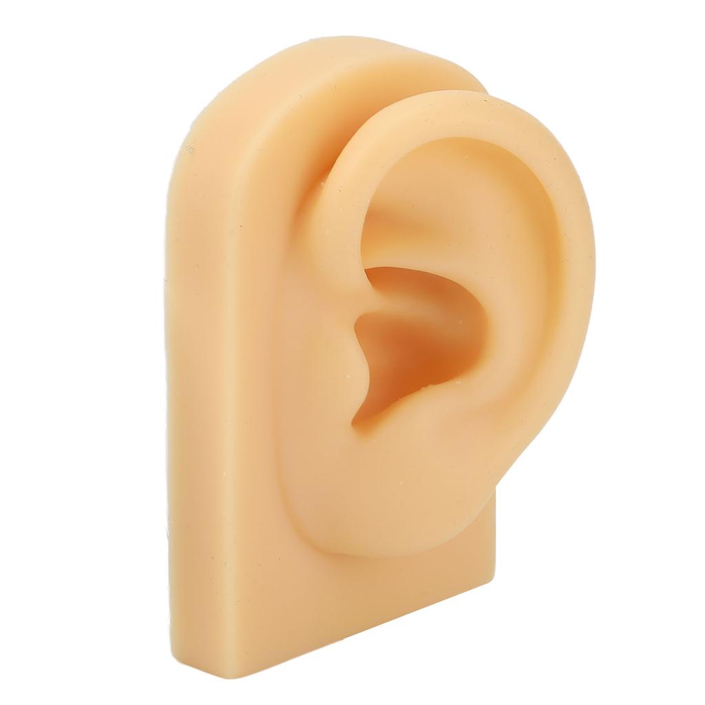 Модель уха Мягкий силикон Гибкая Симуляция уха Практика пирсинга Демонстрация ювелирных изделий Модель искусственного уха Левое