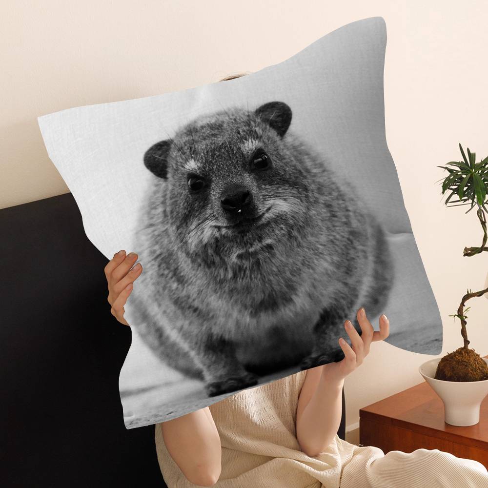 Rock Hyrax Animal Cushion Cover Pillow Cover Decor Pillowcase Printed Cushion Case for Couch