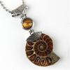 Pattern Tiger Eye Stone Beads Ammonite Fossil Stone Pendant Cabochon Conch Shell Stone Pendant