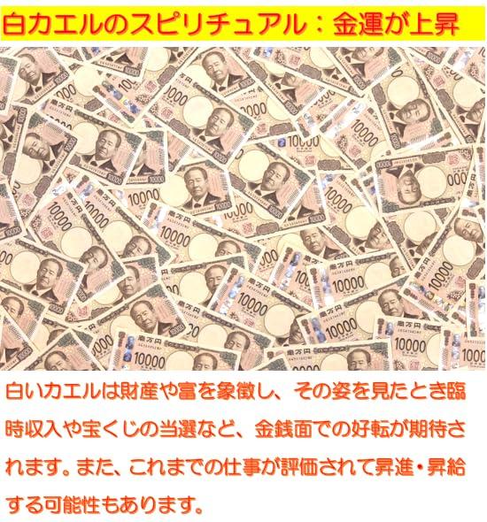 [Brings Happiness Mysterious White Frog Incense Holder] 3-Piece Incense Holder Set [Brings Good Fortune for Money, Love, Career, and Health] Lotus