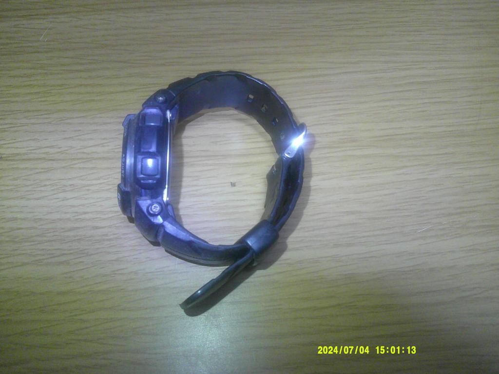 Casio RESIST G-SHOCK G-300