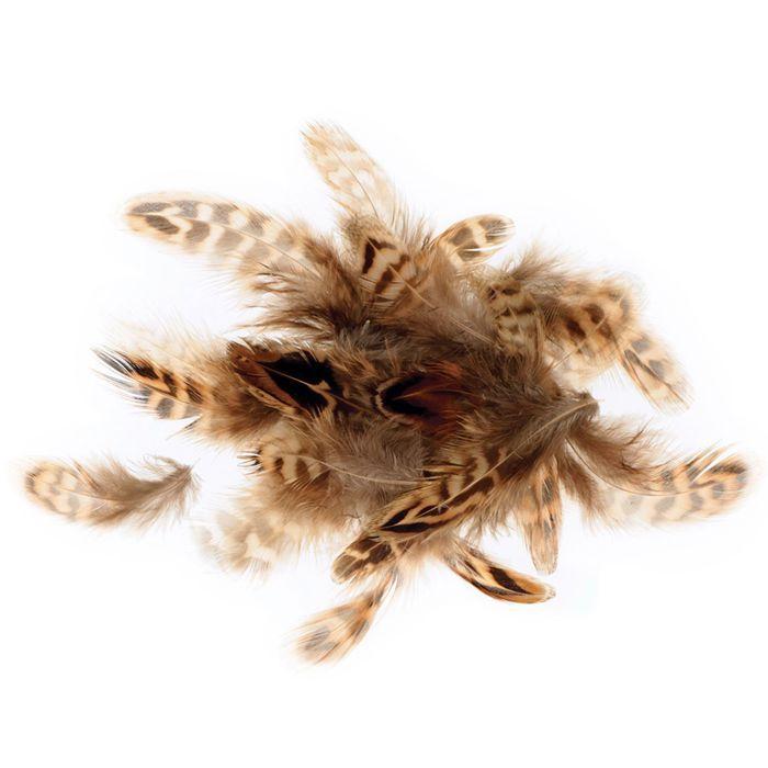 Tiger Feathers 3-6 Cm - 3 G