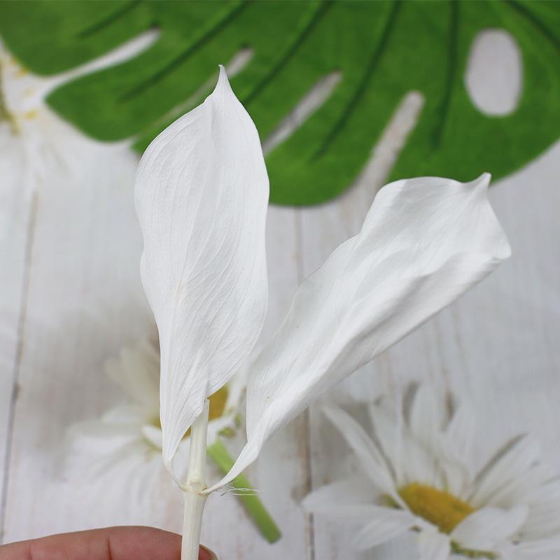 DIY Floral Art Ornament: Preserved Tangerine & Fishtail Leaf, Lily, Bamboo Dried Flowers – Ikebana Photo Prop for Home Décor.