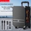 Портативная Bluetooth-караоке-колонка-тележка Newmine N518 8 дюймов с двумя микрофонами, штекер CN (адаптер в комплекте)