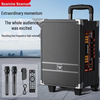 Портативная Bluetooth-караоке-колонка-тележка Newmine N518 8 дюймов с двумя микрофонами, штекер CN (адаптер в комплекте)
