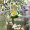 Frog Ornament Resin Decorative Cartoon Animal Hand-Painted Sitting Lying Down Standing Frog Figurines Garden Home Decor