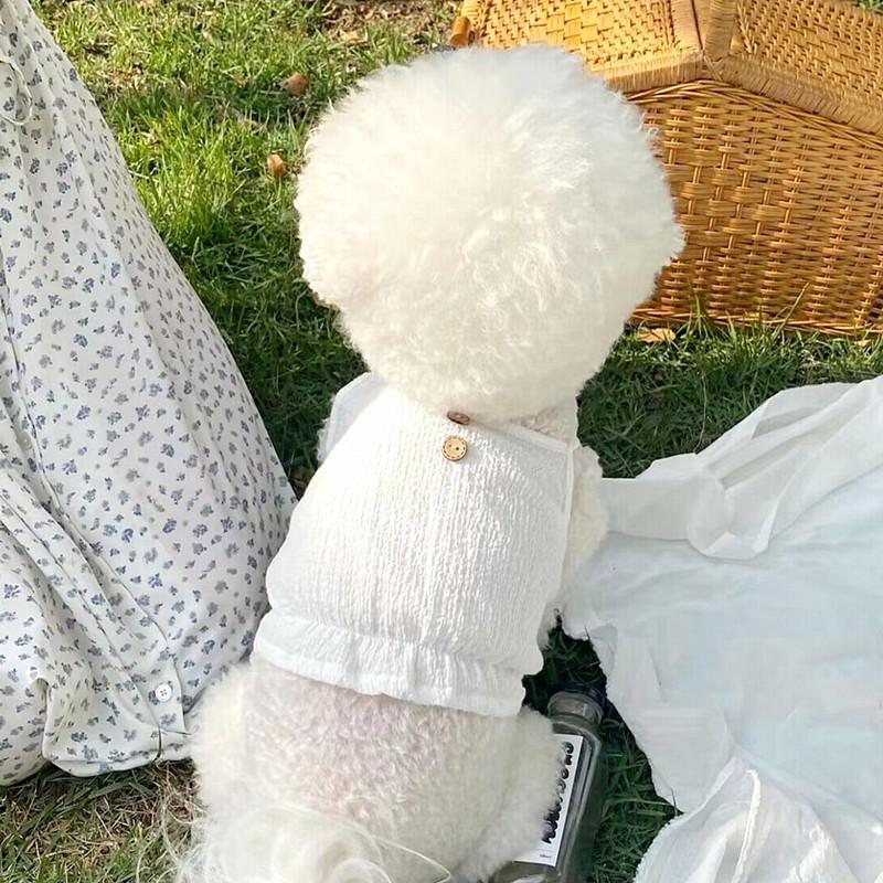 Одежда для домашних собак Жилет Весна и Осень Тонкий Кот Померанский шпиц Маленький щенок Тедди