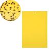 1Pc Traps Sticky Board Catching Aphid Pest