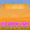 Led Grow Light Full Spectrum Phytolamp Plant Growth Hydroponics Seed Flower Grow Box 3000w Quantum