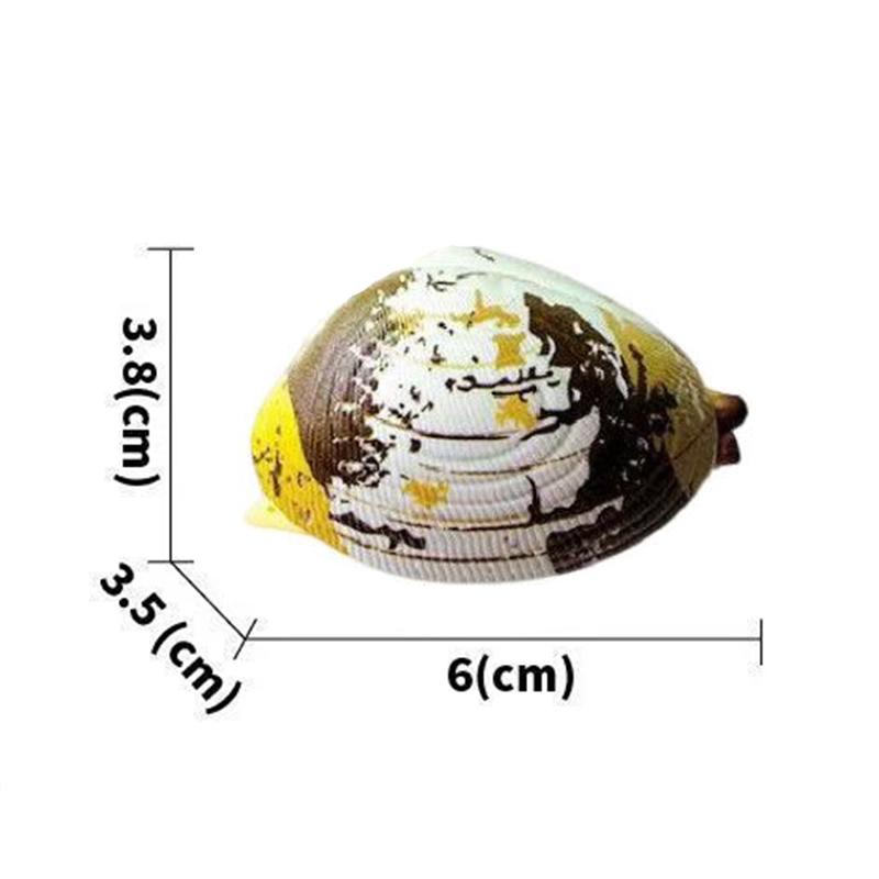 3/6 шт. Ракушка с водяным распылением Игрушка-водный пистолет для взрослых Летние развлечения Мощный распылитель Новинка Пляжная вечеринка Водяной шар