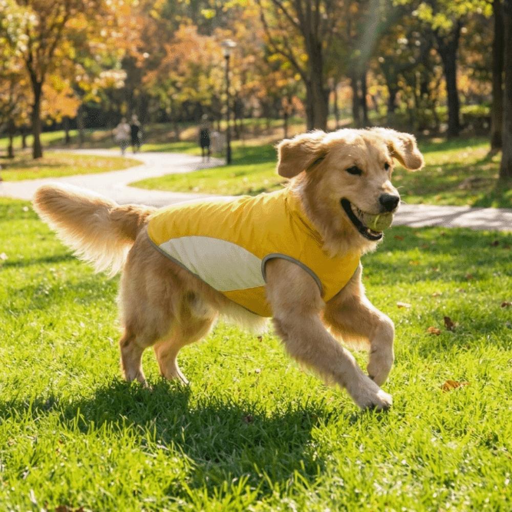 Thin Breathable Pet Cooling Vest Ice Feeling Fabric Summer Dog T-shirt Outdoor Activities