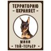 Металлическая табличка «Осторожно, злая собака», табличка на забор или дверь 18x25 см